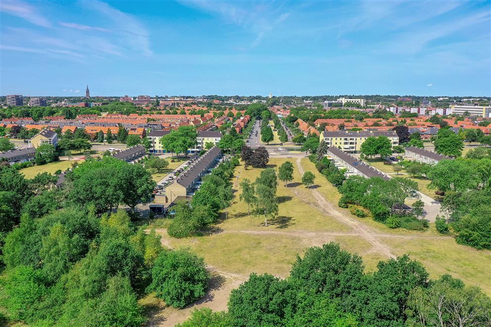 Het landschap zien wij ook