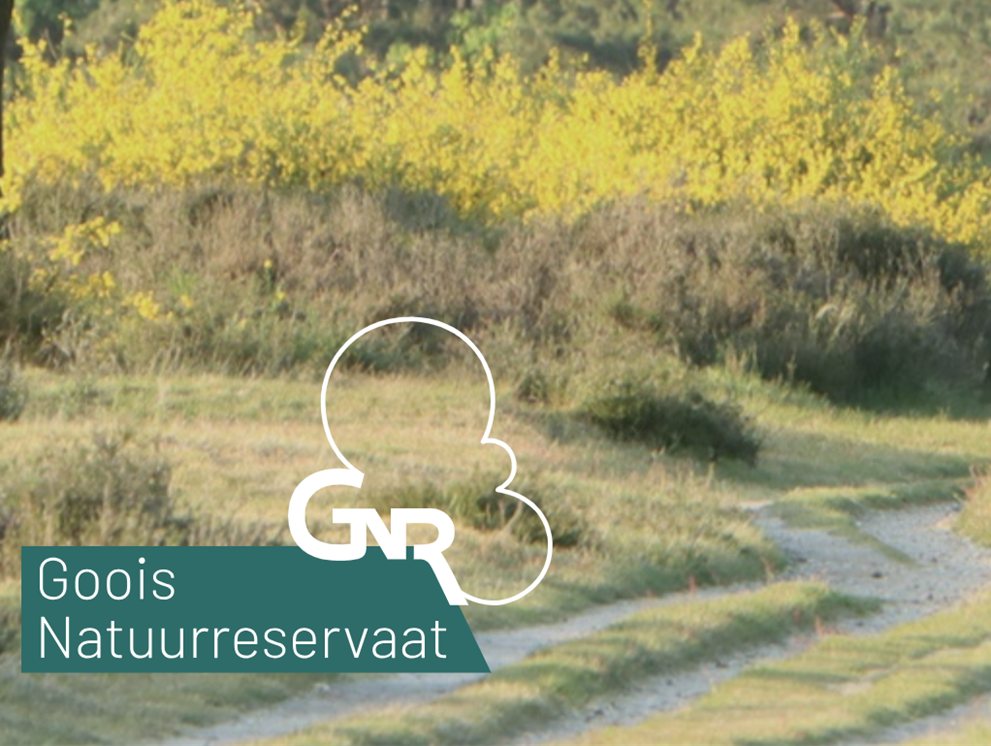 Bespreking Goois Natuur Reservaat beleidsplan 2024-2027