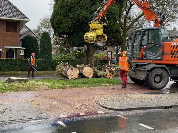 Bomenkapitaal biedt maatschappelijk rendement